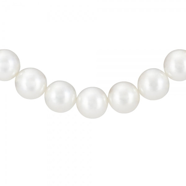 パール SV /K14ネックレス/イヤリング(花珠/アコヤ真珠/8.0mm~8.5mm/無調色/2点セット/6月誕生石/花珠鑑別鑑定書付き)